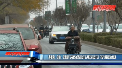 交警嚴管與源頭治理雙管齊下，守護道路安全暢通