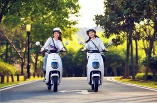 4月15日后電動車、三輪車上牌指南 你最關心的問題都在這